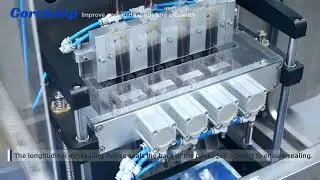 Small model fully automatic 4-lane liquid packaging machine for loquat juice