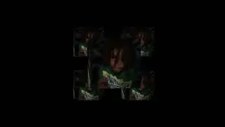 GMO Izzy - Q&rsquo;s & P&rsquo;s
