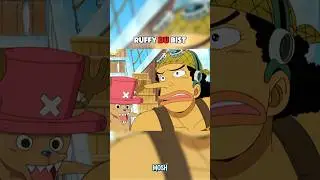 ZIMMERMANN RUFFY 🛠️ #onepiece #anime #luffy #lysop #chopper #zorro #goingmerry