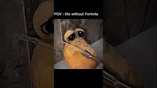 I cant love without it #fortnite #pdiddy #skibidtoilet #RMA  #nickeh30