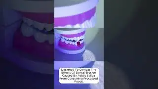 Maximize Your Dental Health with Powerbite Supplements Magic!