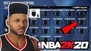 NBA 2K20 EVERY NEW BADGE IN THE GAME!! | WHICH WILL BE THE BEST FOR NBA 2K20 MyTEAM