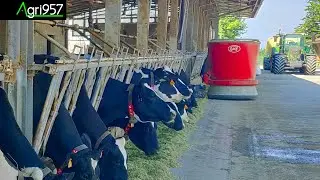 LELY VECTOR COWS AUTOMATIC FEEDING | PARMIGIANO REGGIANO ALIMENTAZIONE AUTOMATIZZATA con LELY VECTOR