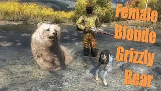 The Hunter - Blonde Female Grizzly Bear