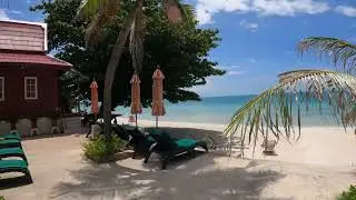 Chaweng Bliss Bungalow #таиланд #samui #МАЙ #2023 🌴🏝️🏖️
