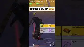 Infinite DOG HP 🤪🤪 #5картавновомметро #metroroyale #pubgmobile #кентметророяль #метро