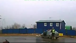 Опоссумы