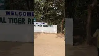 Kawal Tiger Reserve in Jannaram || Forest Department Cars #shorts