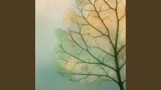 Verdant Space