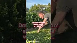 David Beckham shows off his homegrown wonky vegetables
