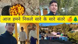 आज नानी के घर में निकाले हमने संतरे और उसके बाद गए हम गोरिल देवता का मंदिर देखने ❤️🙏😊