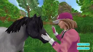 Meet Bluebean | Jorvik Starter Pony | SSO Horses