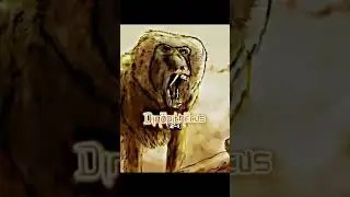 Dinopithecus vs Gigantopethicus (SK 599 vs PIN 5644/439) #edit #paleontology #shorts