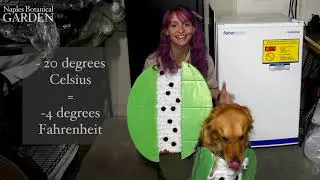 Garden Unseen - Seed Banking with Jessica DeYoung