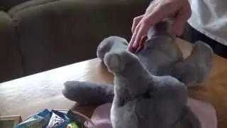 SICK FOOTAGE