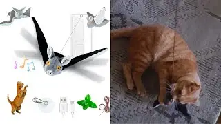 Flapping Bat with Catnip Cat Toy Review