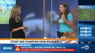 Chrissy Joy & WJLA LIVE