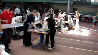 MOV05109