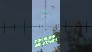 18gr Air Gun Pellet riding the wind #fxairguns