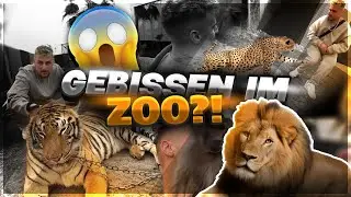 Ich wurde GEBISSEN…😩(1 TAG im PRIVAT ZOO) | JamooTv