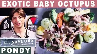 Exotic Baby Octopus at Les Saveurs Pondicherry