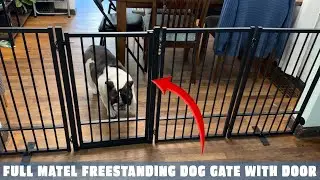 Unboxing the Full Metal Freestanding Dog Gate by SNUOWU | Perfect for Indoor & Outdoor Use!