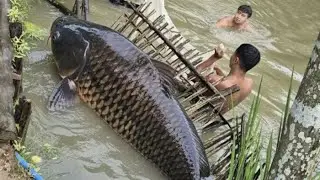 OMG😱Itna sara machhli🐟 | Catching fish with hands | in the rainy season |