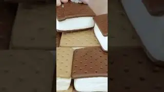 Fatboy Thicc Ice Cream Sandwiches Mukbang ASMR #asmr #eatingsounds #icecream #fatboy #fyp #shorts