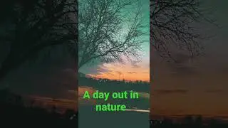 A day out in nature