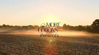 EGYPTIAN COTTON