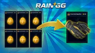 PROFIT ONLY BATTLES! (RAIN.GG)