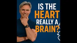 The 3 Brains Theory Explained: Is the Heart Really a Brain? Christoffel 3 Brains Intelligence