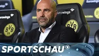 BVB: An diesen fünf Schrauben muss Peter Bosz drehen  | Sportschau
