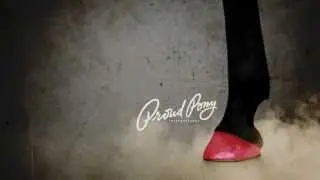 Proud Pony Film Night -  Sponsor Tease 1