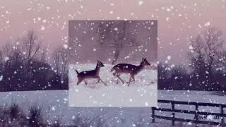 January - Loving // 1 hour loop // rain