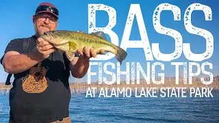 Bass Fishing for Beginners at Alamo Lake State Park