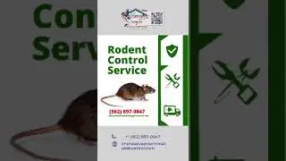 Rodent Control Service Los Angeles, California