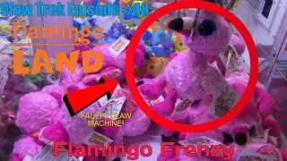 Claw Trek Episode 48 | Flamingo Frenzy