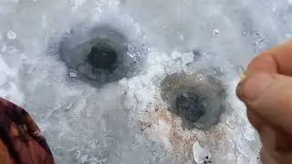 Безмотылка, новое и очень хорошо работает. 