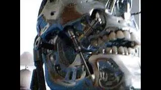 Terminator head Programable (static display)