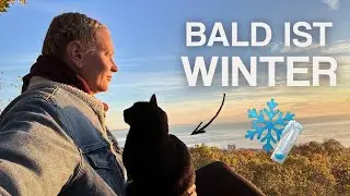 RETTUNG: Teures DIY Katzenhaus f&uuml;r den Winter - &Uuml;berraschung Vanlife Bulgarien - Werkstatt? VLOG 107