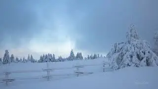 Schwarzwald-Winter