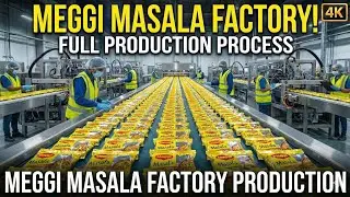 Maggi Masala making in factory | Complete Manufacturing process 😱