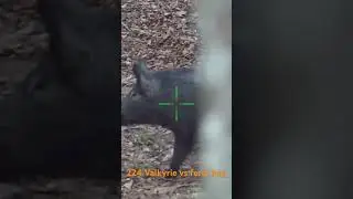 224 Valkyrie 88 ELD-M
