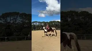 Riding my 4 year old for the first time in six months #horse #horsegirl #equestrian #younghorse
