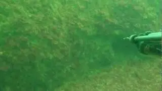 Muxarra 1,1kg en cueva