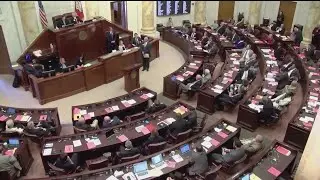 Arkansas Supreme Court Rules on Term Limits Voting