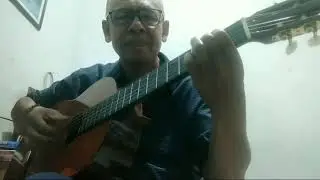 Pretty Little Baby - Connie Francis (Fingerstyle Guitar)