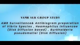 VAMR National Investigator's  Meeting for Vibrio Species , Burkholderia pseudomallei, H.influenzae