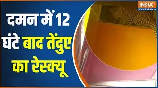 Daman Tendua Rescue: दमन में 12 घंटे बाद तेंदुए का रेस्क्यू | leopard | Rescue Operation | India Tv